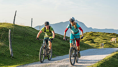 Road cycling during a summer holiday in Kitzbühel