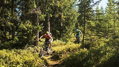 Road cycling during a summer holiday in Kitzbühel