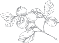 Mingler Dekoelement beere-content